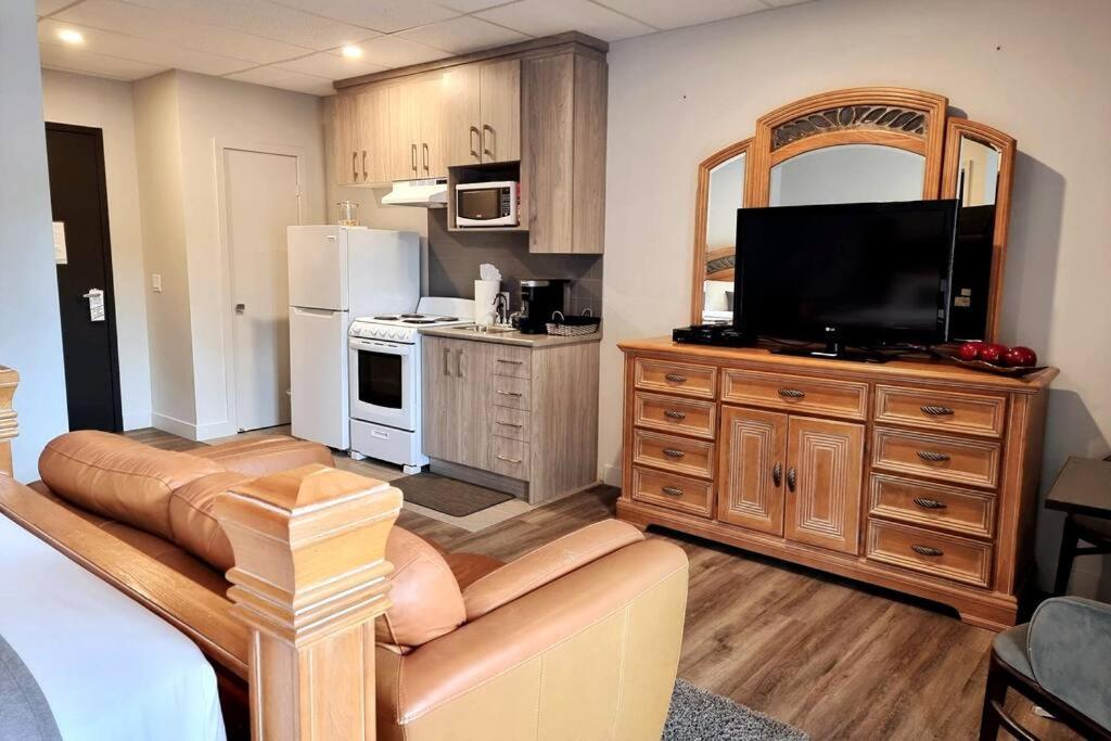Cozy Spacious 1-Bdr Studio #8. Free Parking Гатино Екстериор снимка